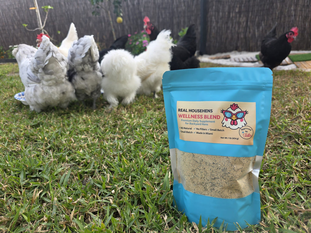 Real Househens Wellness Blend – Premium Herbal Supplement for Backyard Chickens