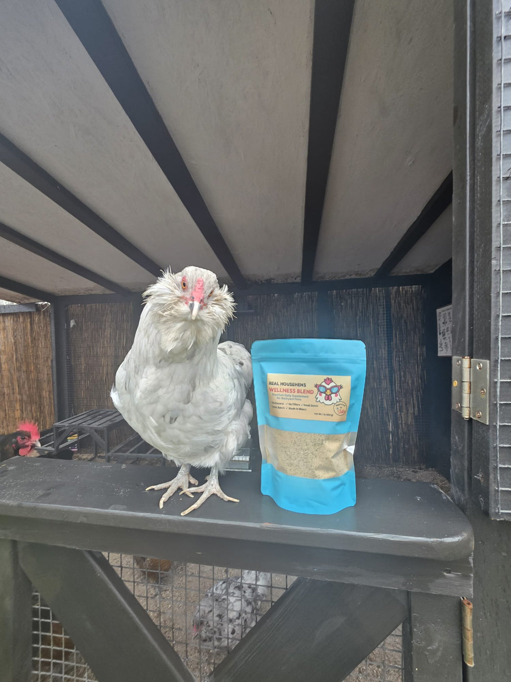Real Househens Wellness Blend – Premium Herbal Supplement for Backyard Chickens
